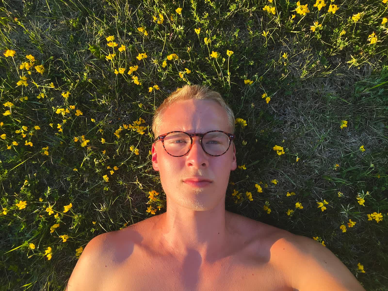 nate laying in a field of yellow flowers